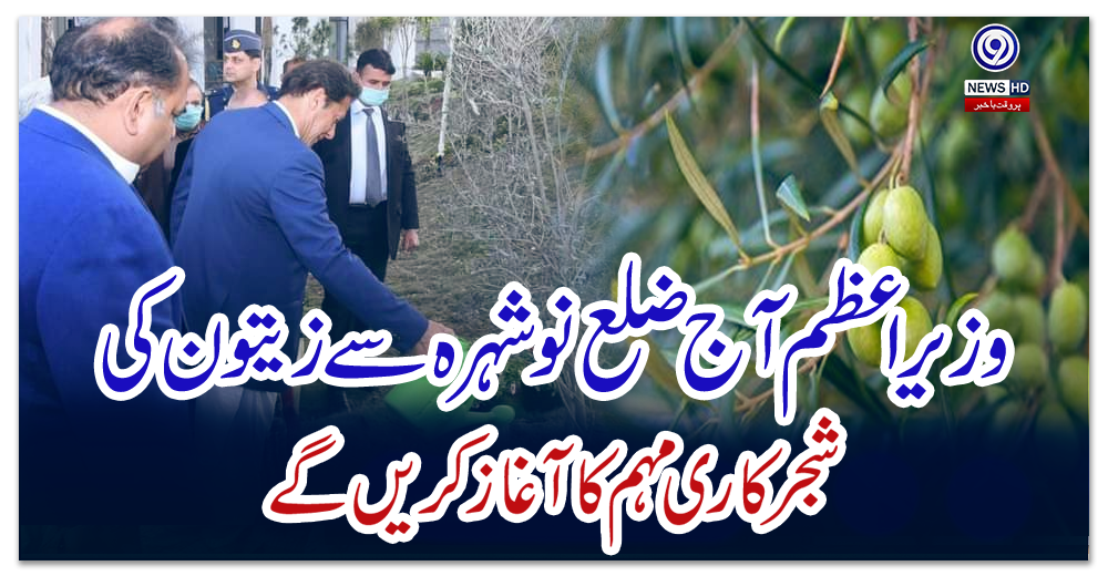 وزیراعظم-آج-ضلع-نوشہرہ-سے-زیتون-کی-شجرکاری-مہم-کا-آغاز-کریں-گے