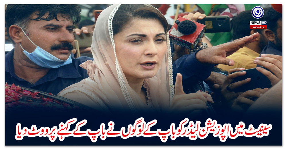 سینیٹ-میں-اپوزیشن-لیڈر-کو-باپ-کے-لوگوں-نے-باپ-کے-کہنے-پر-ووٹ-دیا