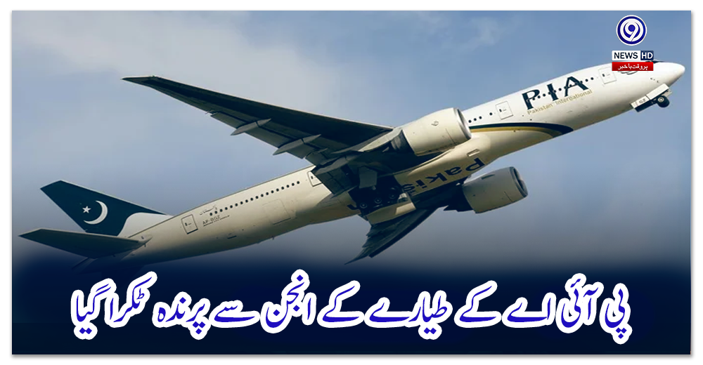 پی-آئی-اے-کے-طیارے-کے-انجن-سے-پرندہ-ٹکرا-گیا