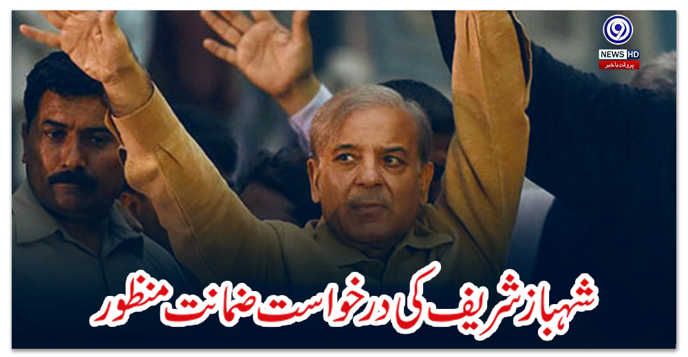 شہبازشریف-کی-درخواست-ضمانت-منظور