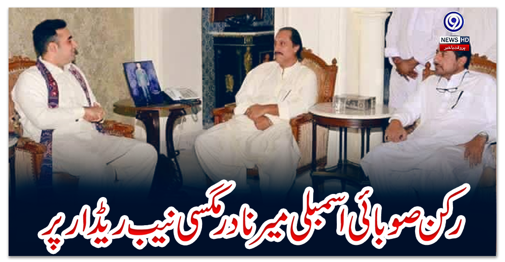 رکن-قومی-اسمبلی-عامر-مگسی،-رکن-صوبائی-اسمبلی-میر-نادر-مگسی-نیب-ریڈار-پر