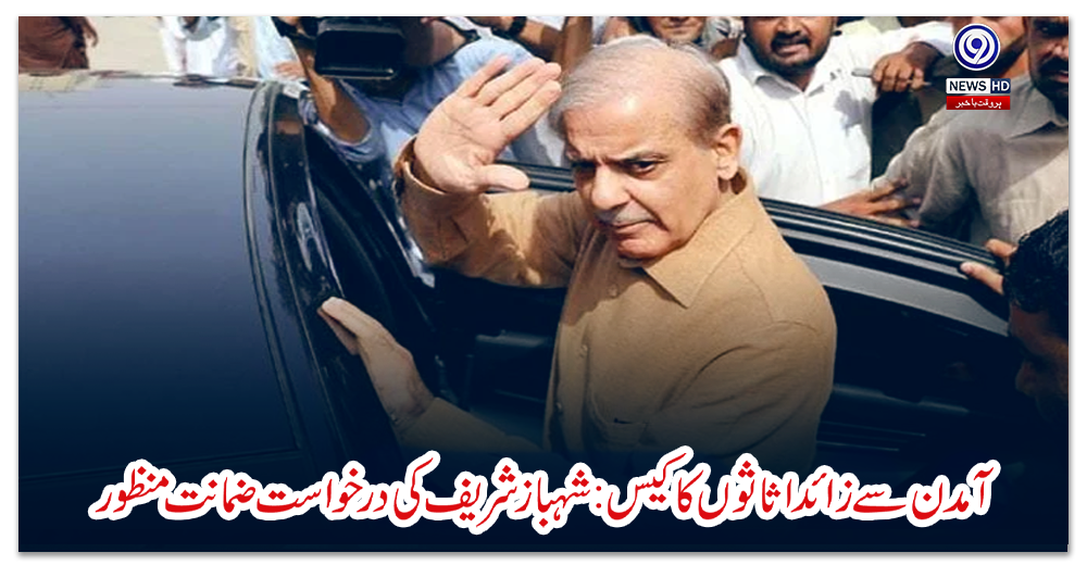 آمدن-سے-زائد-اثاثوں-کا-کیس:-شہباز-شریف-کی-درخواست-ضمانت-منظور