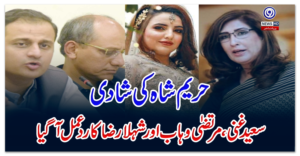 حریم-شاہ-کی-شادی:-سعید-غنی-،مرتضیٰ-وہاب-اور-شہلا-رضا-کا-ردعمل-آ-گیا