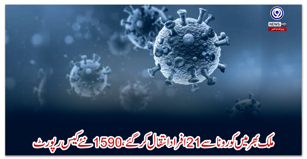 وفاقی-کابینہ-میں-اختلافات،-وزیراعظم-تک-شکایت-پہنچ-گئی