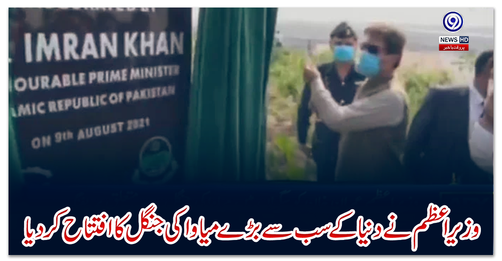 وزیر-اعظم-نے-دنیا-کے-سب-سے-بڑے-میاواکی-جنگل-کا-افتتاح-کردیا