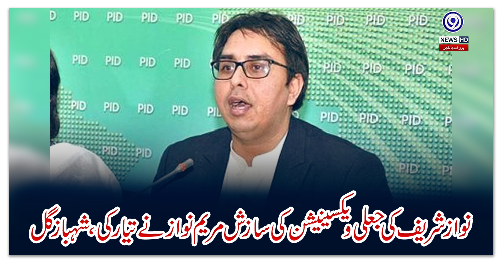 نواز-شریف-کی-جعلی-ویکسینیشن-کی-سازش-مریم-نواز-نے-تیار-کی،-شہباز-گل