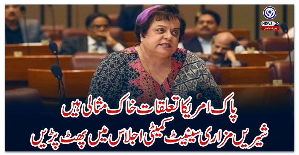 پاک-امریکا-تعلقات-خاک-مثالی-ہیں،-شیریں-مزاری-سینیٹ-کمیٹی-اجلاس-میں-پھٹ-پڑیں