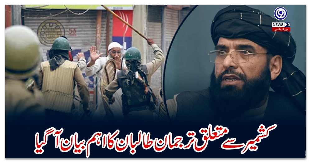 کشمیر-سے-متعلق-ترجمان-طالبان-کا-اہم-بیان-آگیا