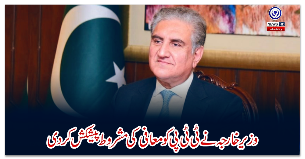 وزیر-خارجہ-نے-ٹی-ٹی-پی-کو-معافی-کی-مشروط-پیشکش-کردی