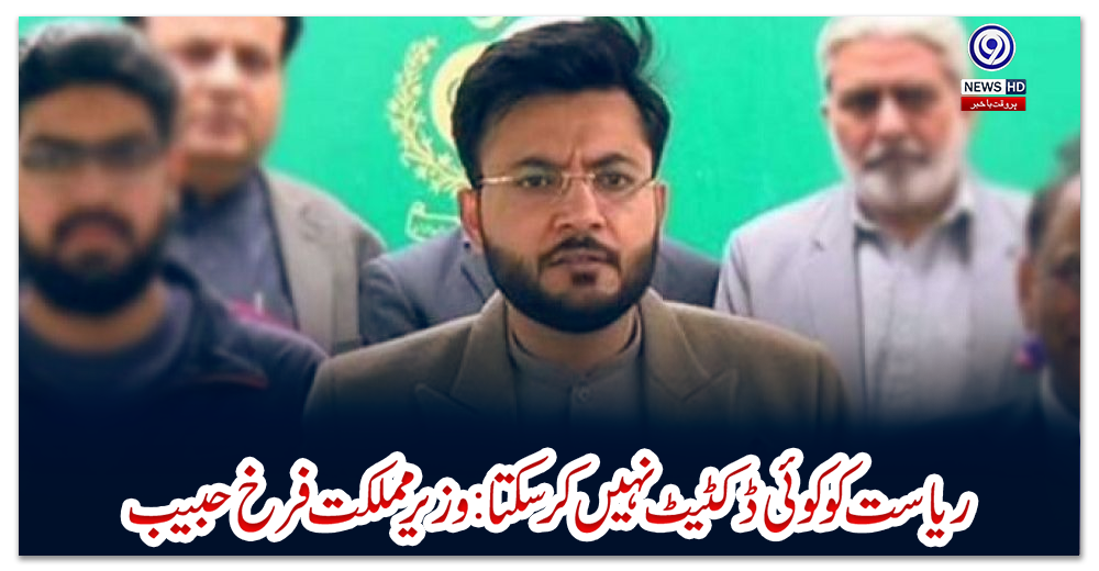 ریاست-کو-کوئی-ڈکٹیٹ-نہیں-کرسکتا:-وزیر-مملکت-فرخ-حبیب