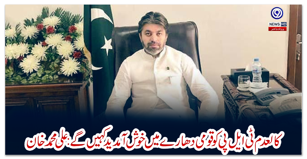 کالعدم-ٹی-ایل-پی-کو-قومی-دھارے-میں-خوش-آمدید-کہیں-گے:-علی-محمد-خان