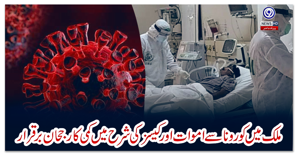 ملک-میں-کورونا-سے-اموات-اور-کیسز-کی-شرح-میں-کمی-کا-رجحان-برقرار