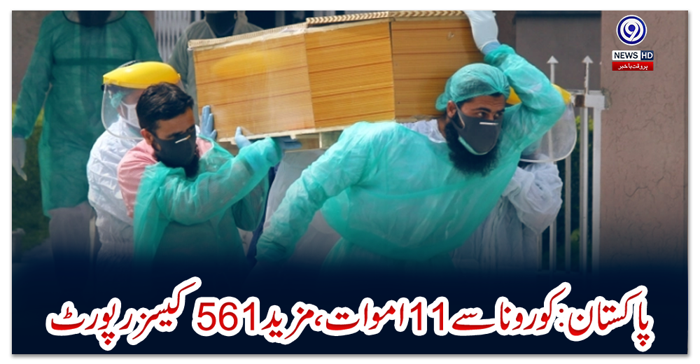 پاکستان:-کورونا-سے-11-اموات،-مزید-561-کیسز-رپورٹ