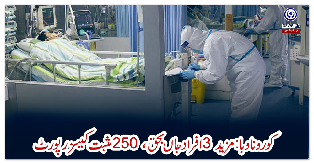 کورونا-وبا؛-مزید-3-افراد-جاں-بحق،-250-مثبت-کیسز-رپورٹ