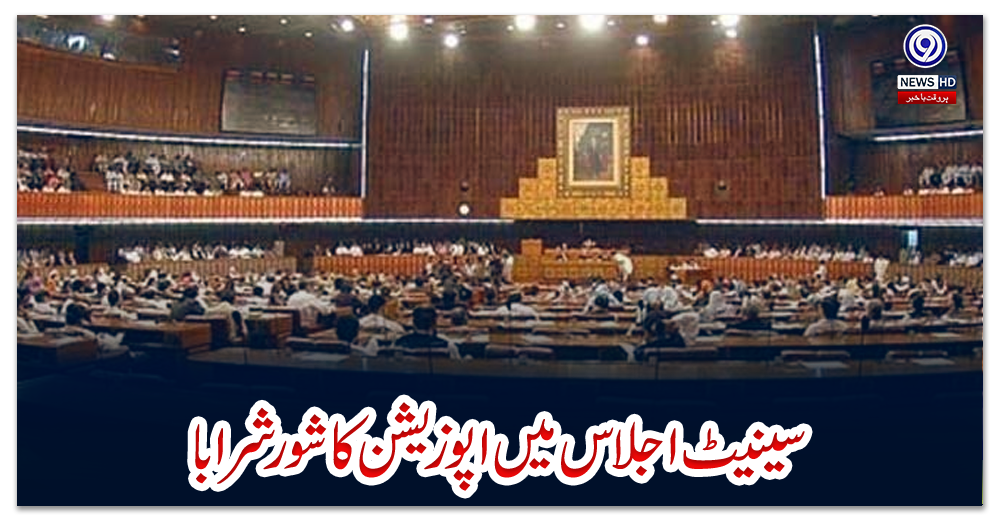 سینیٹ-اجلاس-میں-اپوزیشن-کا-شور-شرابا