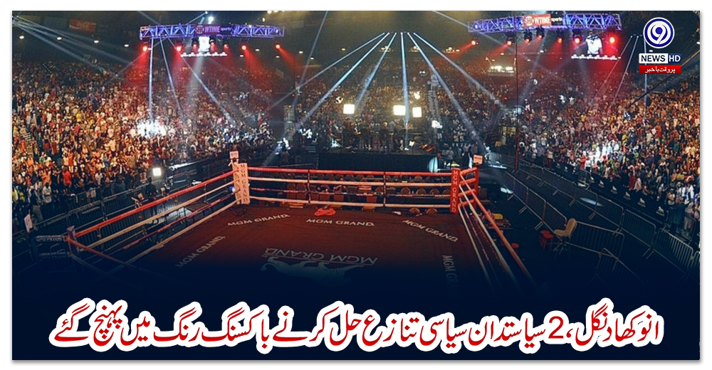 انوکھا-دنگل-،-2سیاستدان-سیاسی-تنازع-حل-کرنے-باکسنگ-رنگ-میں-پہنچ-گئے