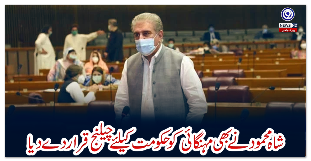 شاہ-محمود-نے-بھی-مہنگائی-کو-حکومت-کیلئے-چیلنج-قرار-دے-دیا