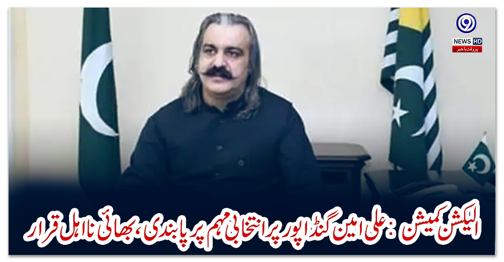 الیکشن-کمیشن:-علی-امین-گنڈا-پور-پر-انتخابی-مہم-پر-پابندی،-بھائی-نااہل-قرار