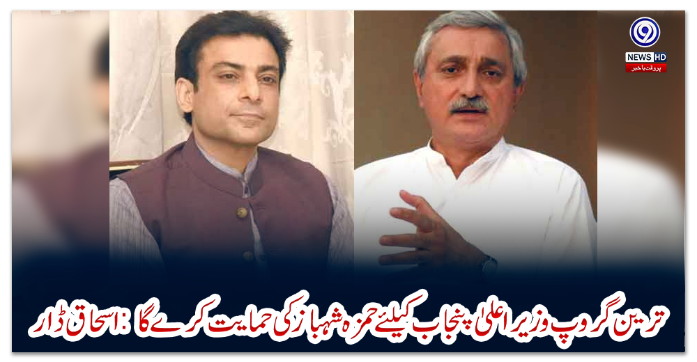 ترین-گروپ-وزیراعلیٰ-پنجاب-کیلئے-حمزہ-شہباز-کی-حمایت-کرے-گا:-اسحاق-ڈار