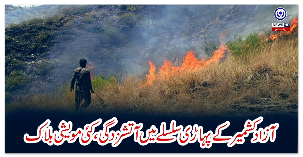 آزادکشمیر-کے-پہاڑی-سلسلے-میں-آتشزدگی،-کئی-مویشی-ہلاک