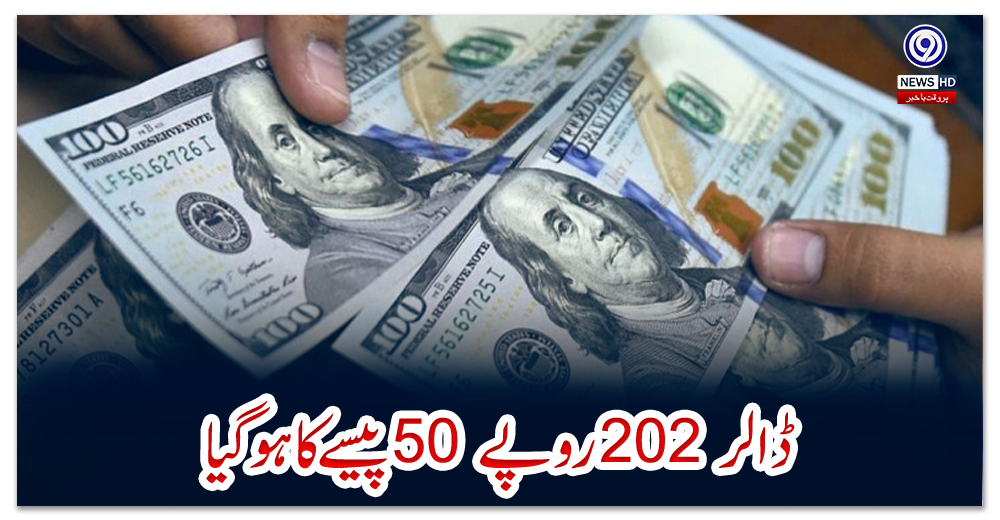 ڈالر-202-روپے-50-پیسے-کا-ہو-گیا