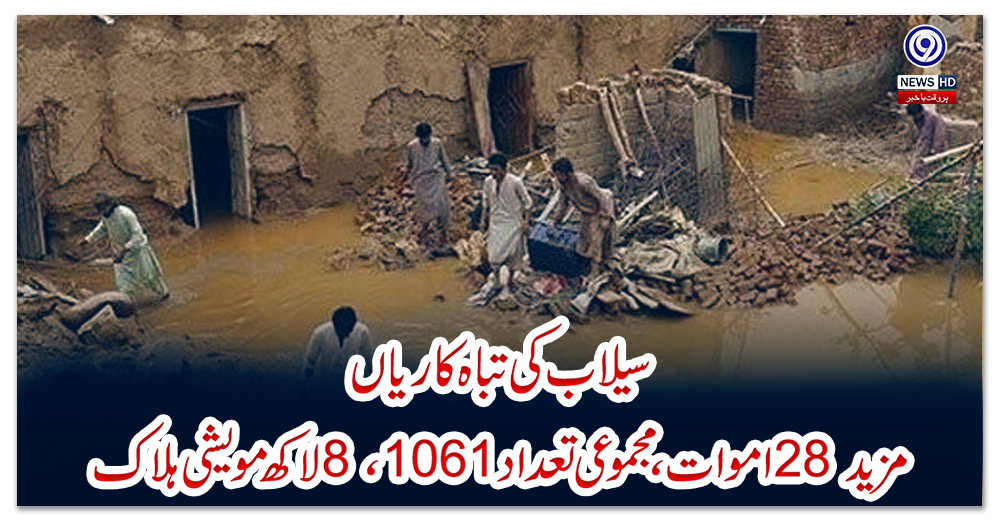 سیلاب-کی-تباہ-کاریاں:-مزید-28-اموات،-مجموعی-تعداد-1061،-8-لاکھ-مویشی-ہلاک