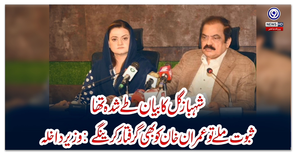 شہباز-گل-کا-بیان-طے-شدہ-تھا،-ثبوت-ملے-تو-عمران-خان-کو-بھی-گرفتار-کرینگے:-وزیر-داخلہ