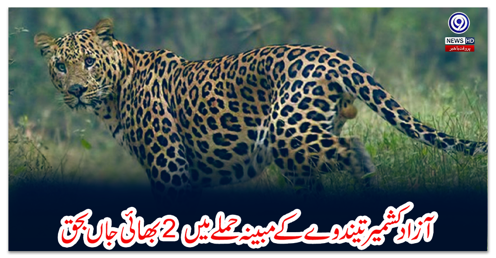 آزادکشمیر-:-تیندوےکے-مبینہ-حملے-میں-2-بھائی-جاں-بحق