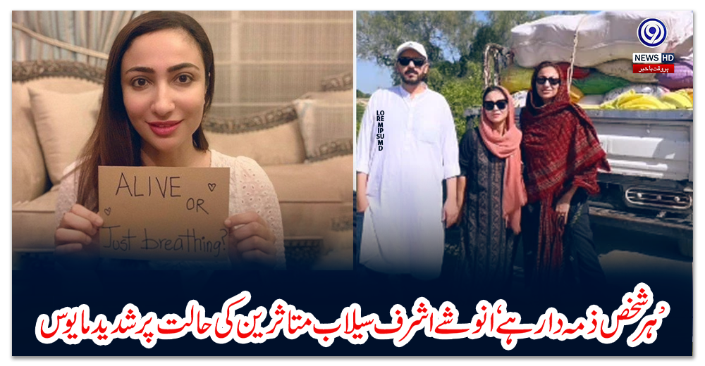 ہر-شخص-ذمہ-دار-ہے-انوشے-اشرف-سیلاب-متاثرین-کی-حالت-پر-شدید-مایوس