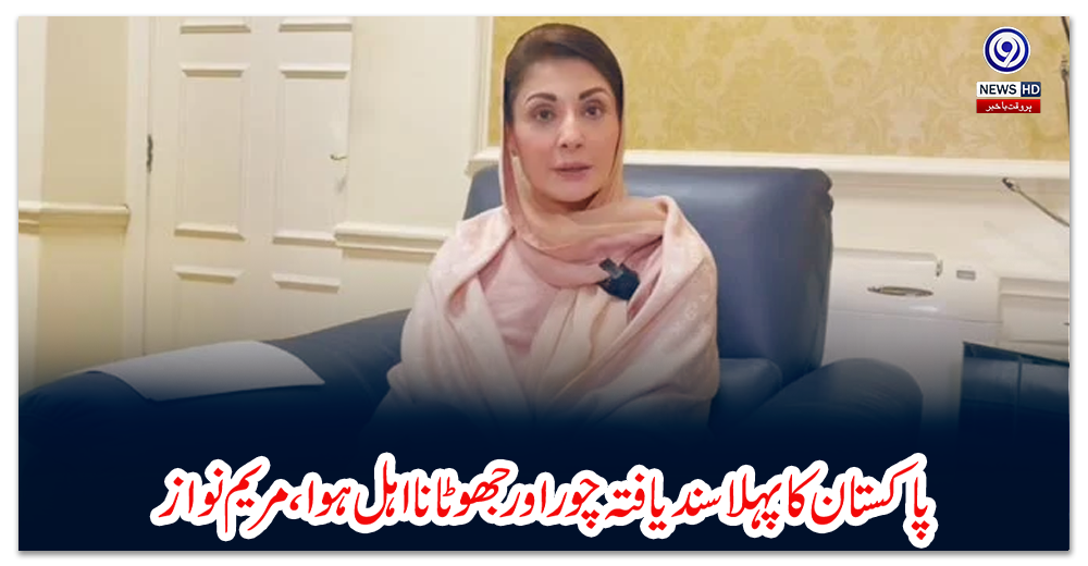 پاکستان-کا-پہلاسند-یافتہ-چور-اورجھوٹا-نا-اہل-ہوا،-مریم-نواز