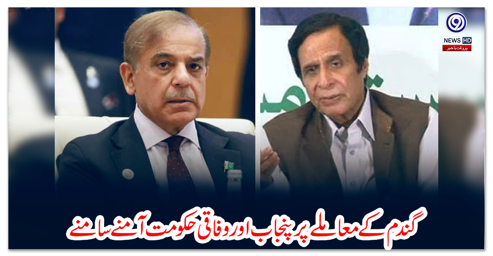 گندم-کے-معاملے-پر-پنجاب-اور-وفاقی-حکومت-آمنے-سامنے