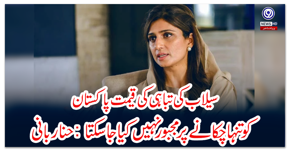 سیلاب-کی-تباہی-کی-قیمت-پاکستان-کو-تنہا-چکانے-پر-مجبور-نہیں-کیا-جاسکتا:-حنا-ربانی