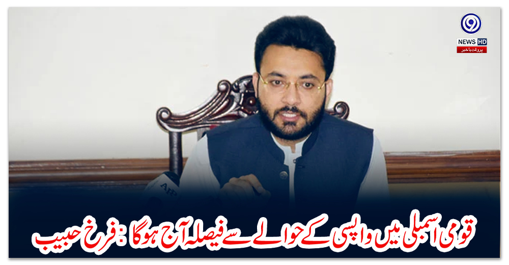 قومی-اسمبلی-میں-واپسی-کے-حوالے-سے-فیصلہ-آج-ہوگا:-فرخ-حبیب