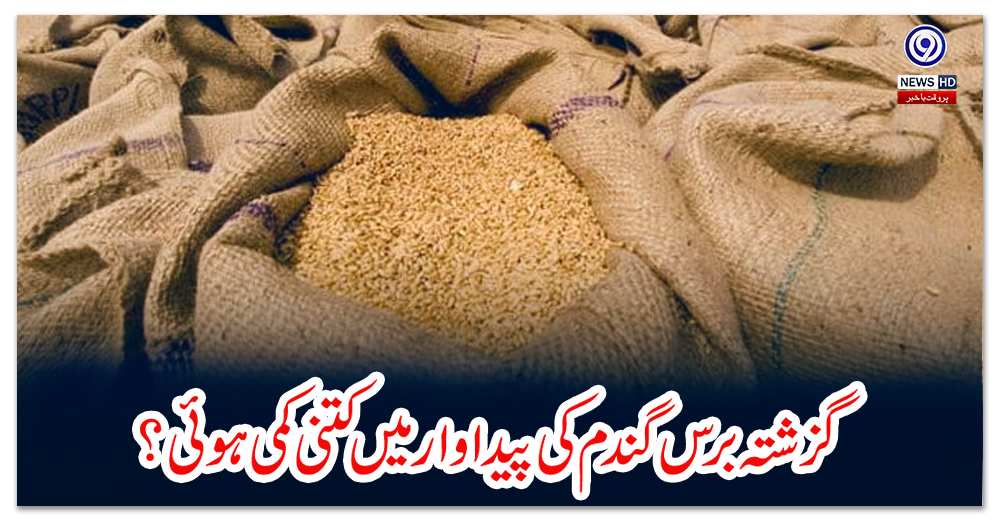 گزشتہ-برس-گندم-کی-پیداوار-میں-کتنی-کمی-ہوئی؟