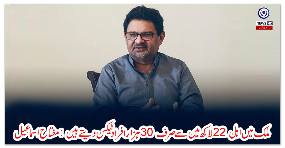ملک-میں-اہل-22-لاکھ-میں-سے-صرف-30-ہزار-افراد-ٹیکس-دیتے-ہیں:-مفتاح-اسماعیل