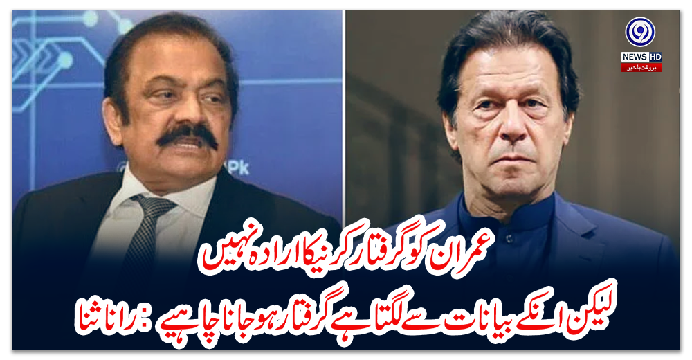 عمران-کو-گرفتار-کرنیکا-ارادہ-نہیں-لیکن-انکے-بیانات-سے-لگتا-ہے-گرفتار-ہوجانا-چاہیے:-رانا-ثنا