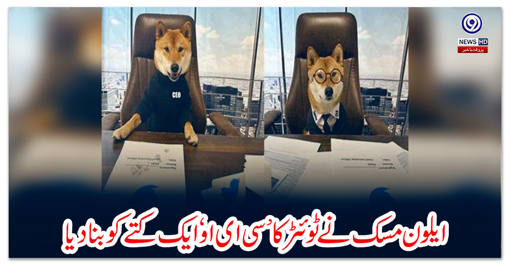 ایلون-مسک-نے-ٹوئٹر-کا-’سی-ای-او‘-ایک-کتے-کو-بنادیا